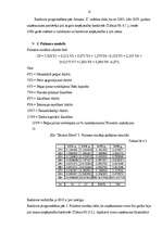 Referāts 'SIA "Skonto Būve" finansiālās situācijas izvērtēšana un attīstības programmas', 19.