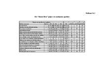 Referāts 'SIA "Skonto Būve" finansiālās situācijas izvērtēšana un attīstības programmas', 28.