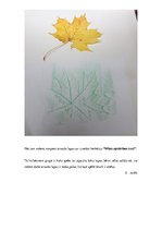 Paraugs 'PII nodarbība, 3. posms', 5.