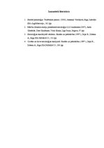 Konspekts 'Lomu konflikti, problēmas un risināšana', 4.