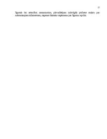 Referāts 'Kravu autopārvadājumu uzņēmuma "X" cenu veidošanas politika', 17.