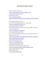 Referāts 'UNESCO pasaules mantojuma sarakstā iekļautie Somijas kultūras mantojuma objekti', 11.