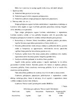 Biznesa plāns 'SIA "Foto-art studio" biznesa plāns', 5.