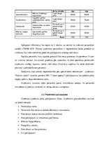 Biznesa plāns 'SIA "Foto-art studio" biznesa plāns', 7.