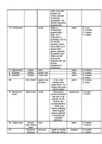 Konspekts 'Divdesmit vietvārdu nosaukumi Ciblas novadā', 5.