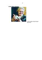 Referāts 'Bioloģiskā lauksaimniecība', 26.