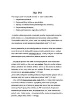 Konspekts 'Ārējie ekonomiskie sakari', 2.
