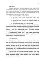 Diplomdarbs 'Mārketinga komunikāciju plāns a/s „Rīgas Piensaimnieks” biezpiena sieriņiem „Kār', 48.