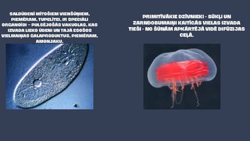 Prezentācija 'Galaproduktu izvadīšana dažādiem dzīvniekiem', 2.