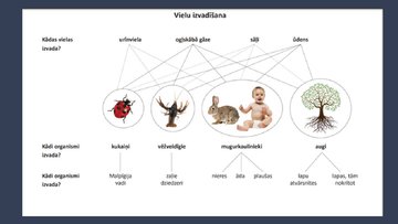 Prezentācija 'Galaproduktu izvadīšana dažādiem dzīvniekiem', 3.