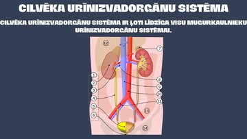 Prezentācija 'Galaproduktu izvadīšana dažādiem dzīvniekiem', 4.