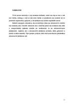 Referāts 'Administratīvā atbildība ceļu satiksmes jomā', 11.