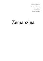Referāts 'Zemapziņa', 1.