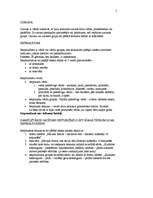 Konspekts 'Latviešu valoda, leksikogrāfija, sintakse', 5.