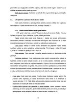 Referāts 'Personāla atlase uzņēmējdarbībā', 25.