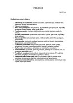 Referāts 'Personāla atlase uzņēmējdarbībā', 31.