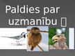 Prezentācija 'Koku un putnu nozīme tautasdziesmās', 5.