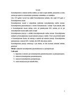 Referāts 'Kriminālprocesa pamatnoteikumi un pamatprincipi', 2.