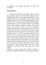 Konspekts 'Stikla ražošana', 6.