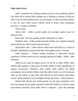 Referāts 'Izziņa kā domāšanas procesa stadija', 9.