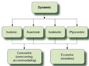 Konspekts 'Skeleta muskuļu kontrakcijas režīmi', 6.