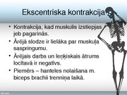 Konspekts 'Skeleta muskuļu kontrakcijas režīmi', 9.