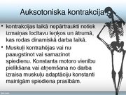 Konspekts 'Skeleta muskuļu kontrakcijas režīmi', 14.