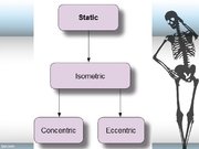 Konspekts 'Skeleta muskuļu kontrakcijas režīmi', 16.