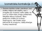 Konspekts 'Skeleta muskuļu kontrakcijas režīmi', 19.