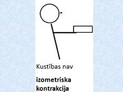 Konspekts 'Skeleta muskuļu kontrakcijas režīmi', 20.
