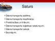 Prezentācija 'Ūdens transporta sistēma', 2.