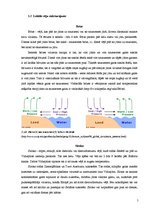 Referāts 'Atmosfēras spiediens un vējš', 5.