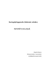Referāts 'Kartupeļu lapgrauzis', 1.