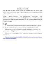 Referāts 'Kartupeļu lapgrauzis', 3.