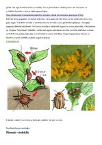 Referāts 'Kartupeļu lapgrauzis', 5.