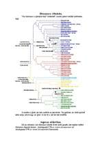 Referāts 'Dinozauri', 3.