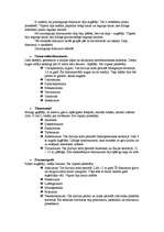 Referāts 'Dinozauri', 4.