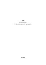 Eseja 'Eseja par izvēlēto uzņēmēju - Kristoferu Gardneru', 1.