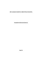 Prakses atskaite 'Prakses dienasgrāmata. Medmāsa', 1.