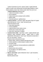 Biznesa plāns 'Dokumentācijas izstrāde otrās kategorijas viesu namam', 15.