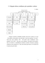 Referāts 'Cūkgaļas raksturojums', 5.