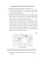 Referāts 'Cūkgaļas raksturojums', 13.