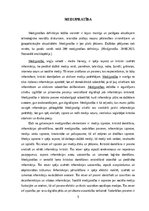 Referāts 'Medijpratība', 5.