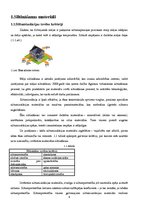 Referāts 'Māju siltināšanas materiāli un tehnoloģijas', 4.