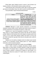 Referāts 'Māju siltināšanas materiāli un tehnoloģijas', 12.