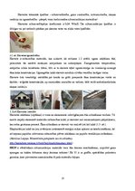 Referāts 'Māju siltināšanas materiāli un tehnoloģijas', 13.