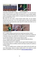 Referāts 'Māju siltināšanas materiāli un tehnoloģijas', 14.