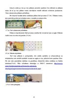 Referāts 'Māju siltināšanas materiāli un tehnoloģijas', 18.