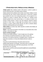 Referāts 'Māju siltināšanas materiāli un tehnoloģijas', 19.