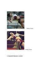 Referāts 'Augstlēkšana', 5.